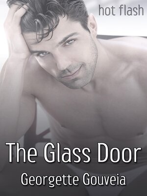 cover image of The Glass Door